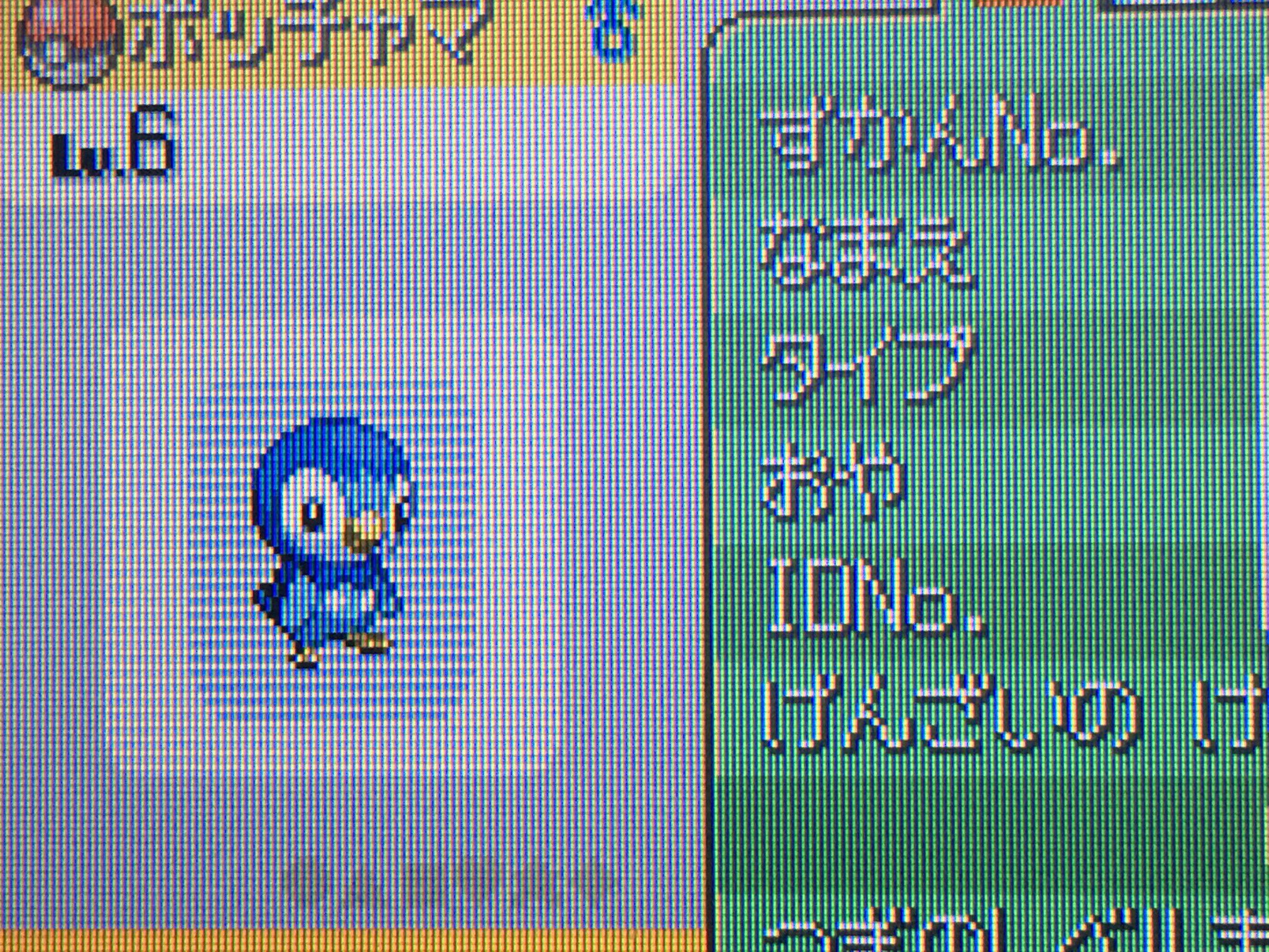 あ しゃ ゲーム垢 待ってないかもですが お待たせしました ヽ ノ プラチナ第一段階クリアです 色違いポッチャマ来ました ただ 色違いと普通のの差がわからないですw ポケモン色 あ しゃ ゲーム垢 待ってないかもですが お待たせしました ヽ ノ プラチナ第一段階クリアです 色違いポッチャマ来ました ただ 色違いと普通のの差がわからないですw ポケモン色