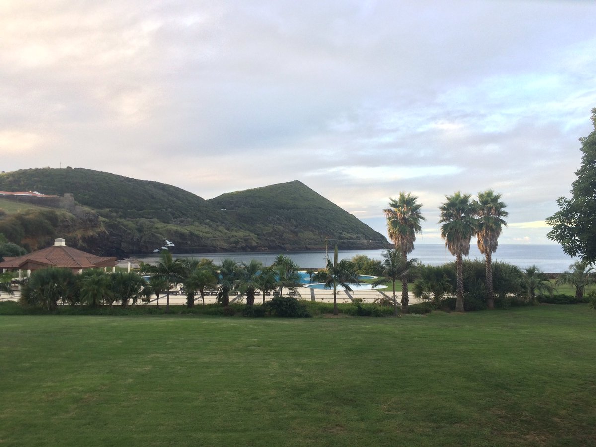 Jill Sayles tweet media