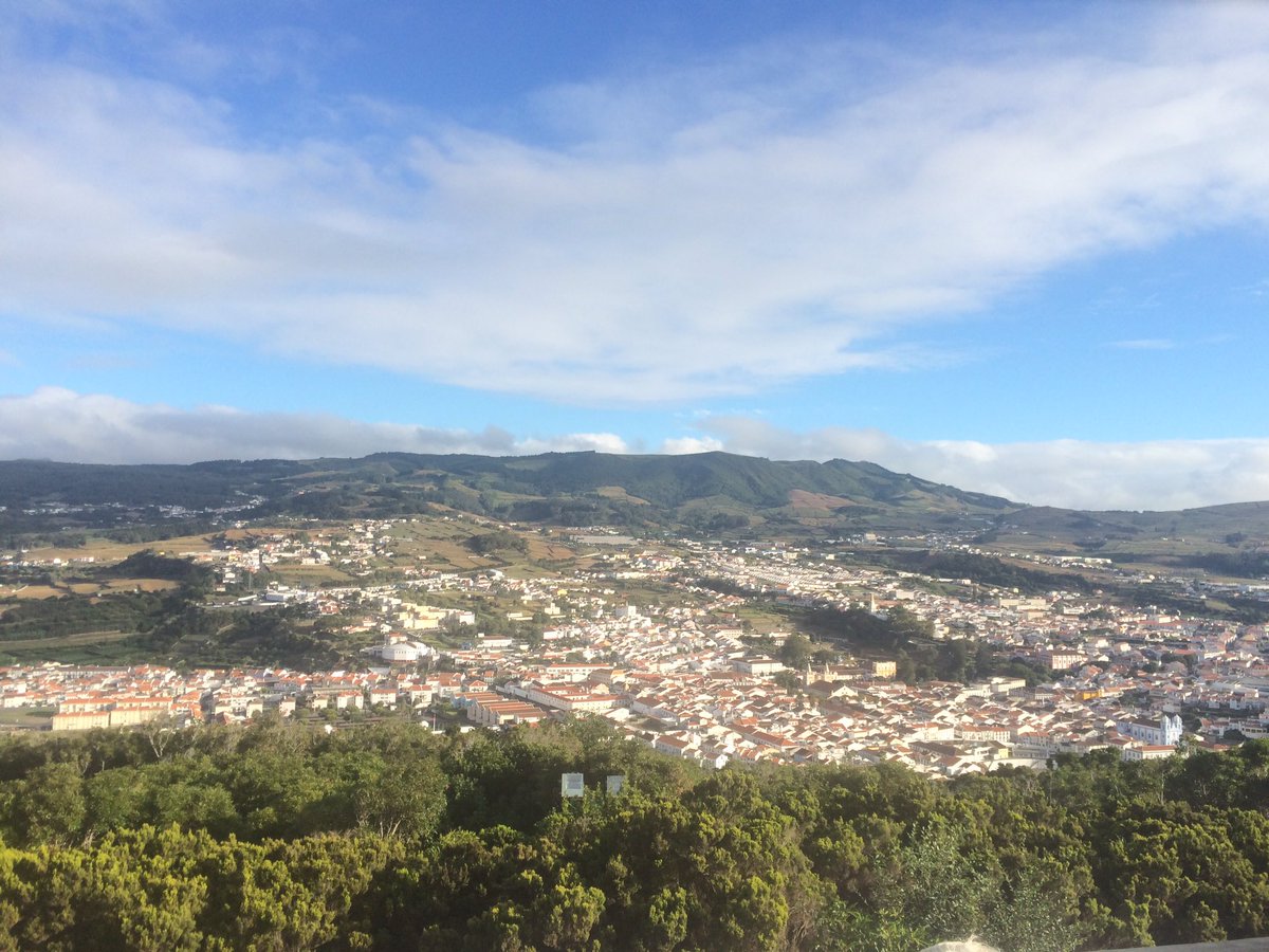 Jill Sayles tweet media