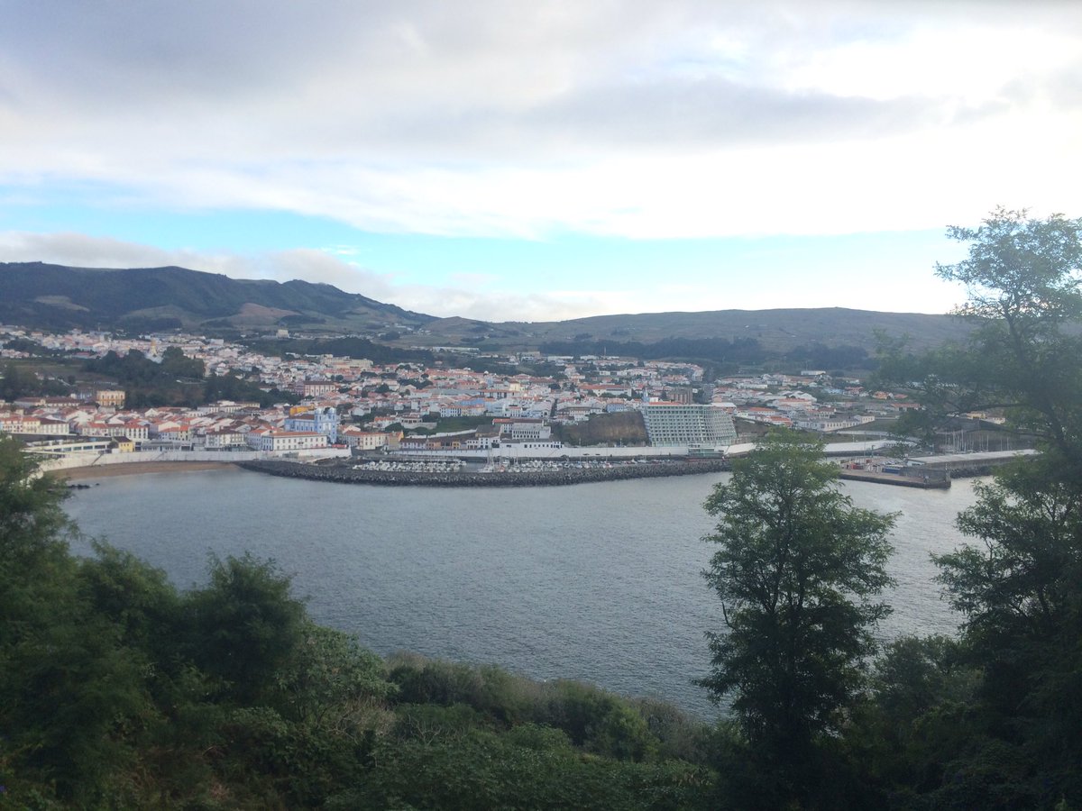 Jill Sayles tweet media