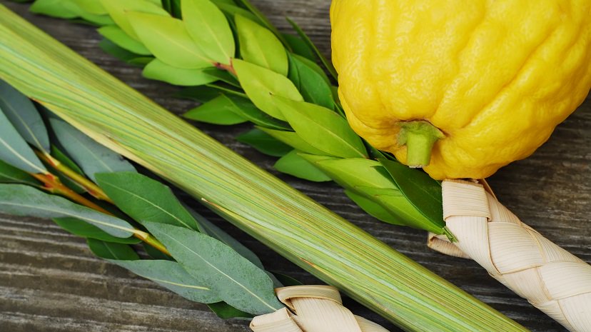 JewishNewsUK's tweet photo. It's #Succot... and we'd love to see your pictures!
Send us your snaps of your #succas to: Community@thejngroup.com!
#sukkot #sukkah https://t.co/PfYDE5g59o