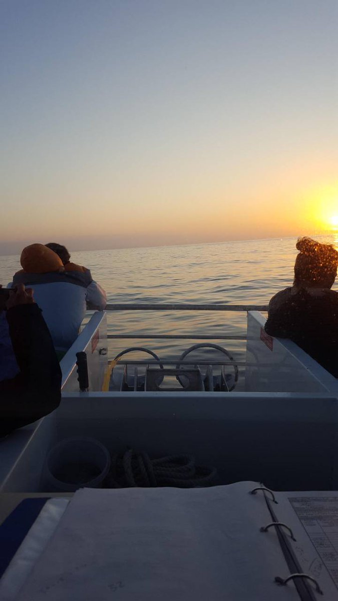 1770reef's tweet photo. Gorgeous day at Lady Musgrave Island, Courtesy of our skipper Brad. Bookings 49727222 https://t.co/wyllFoaA1N