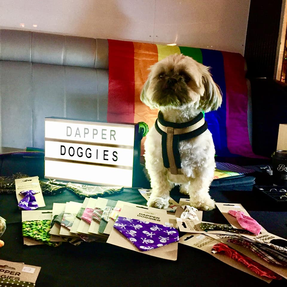 DappersForever's tweet photo. The fabulous Ella gracing our spot yesterday. She owns it. https://t.co/XPvTb9mqBX