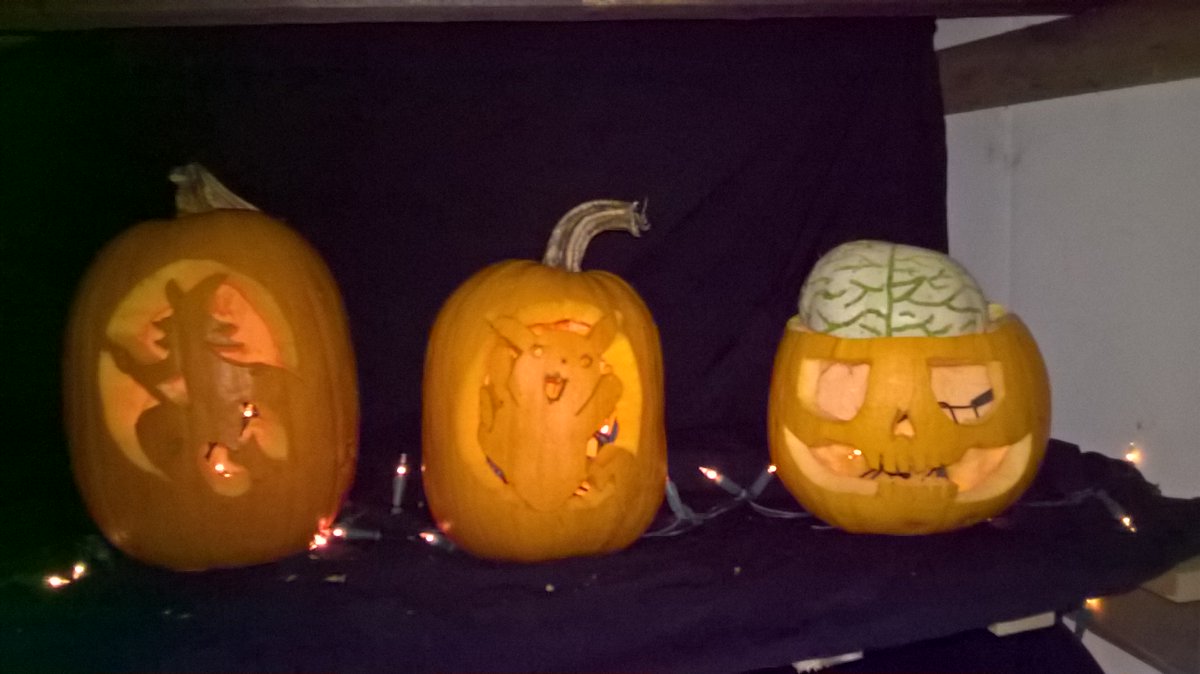 Pompoendag. Bezoek ook onze lichtjesshow