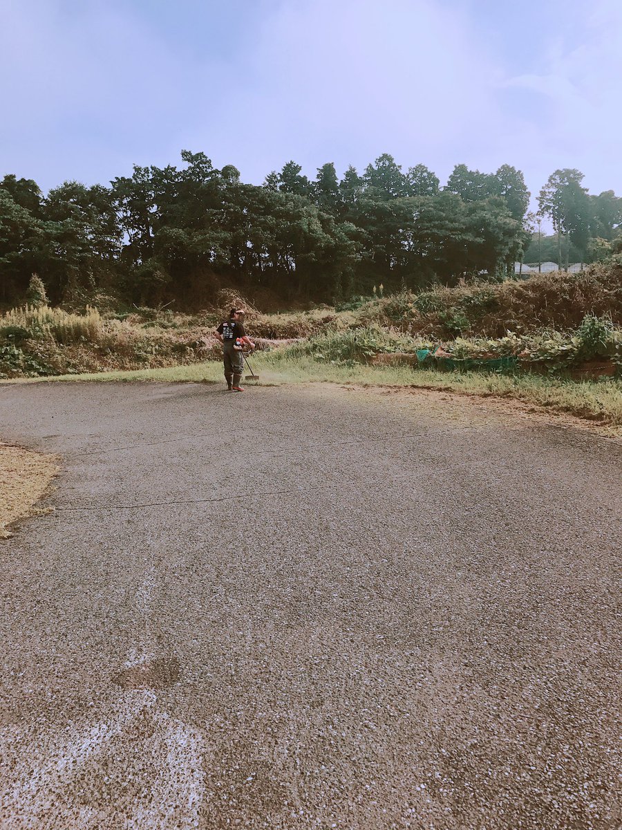 iwaigils's tweet photo. 昨日はあゆのバイクのタイヤ交換を！！新品に変えました✨ただ調子はイマイチ…

今日は草刈りを手島さん兄弟が手伝ってくれました✨ありがとう💓
しおりはエンジンを乗せました♪
久しぶりのＮＳやはり楽しい😊
かなえは今日もベストを更新！29秒45！！
かおりもタイヤ交換して無事走行🏁 https://t.co/TZ1cPq50LI
