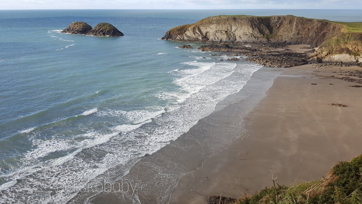diskobaby's tweet image. Morning campers! Happy sunday indeed #NTPembs #Pembrokeshire #Sealpup