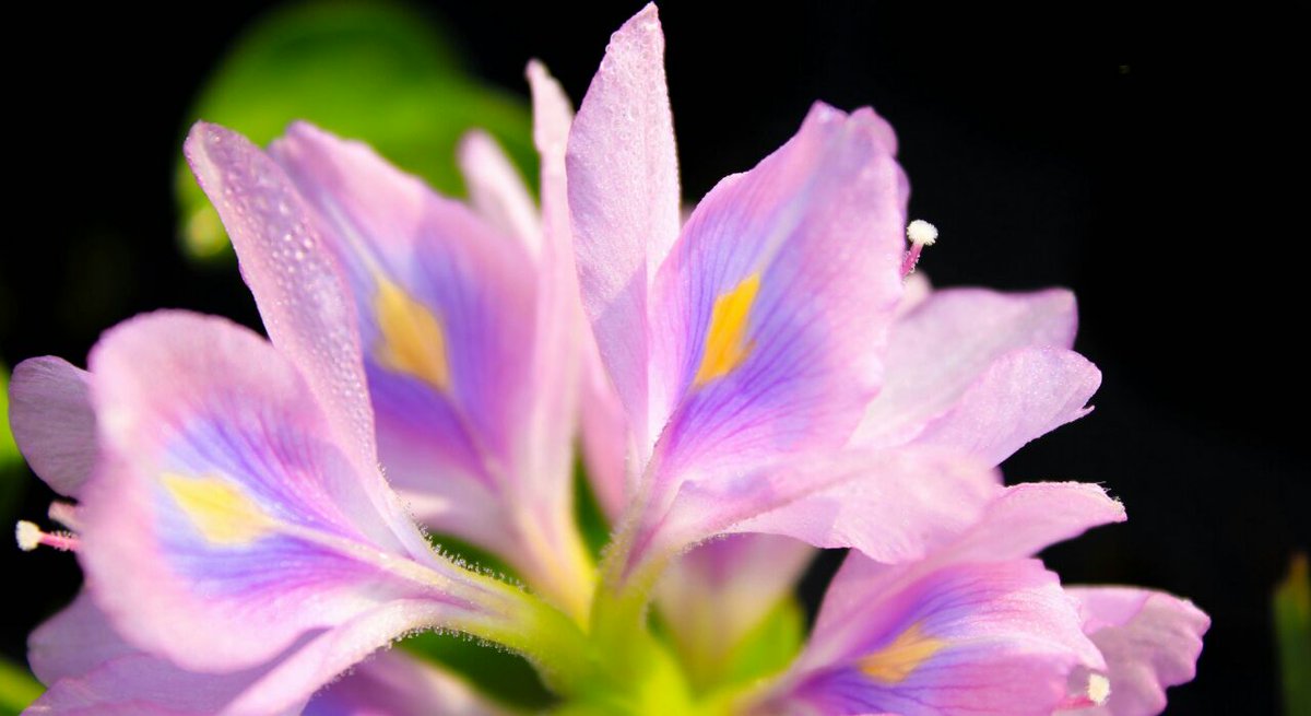 sivakumar_tneb's tweet image. 