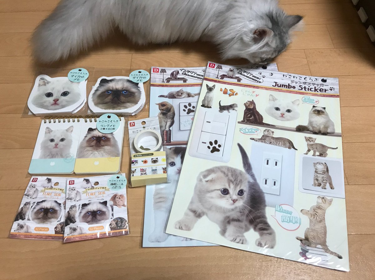 ぎんじとゆめちゃんとぽんみ on X