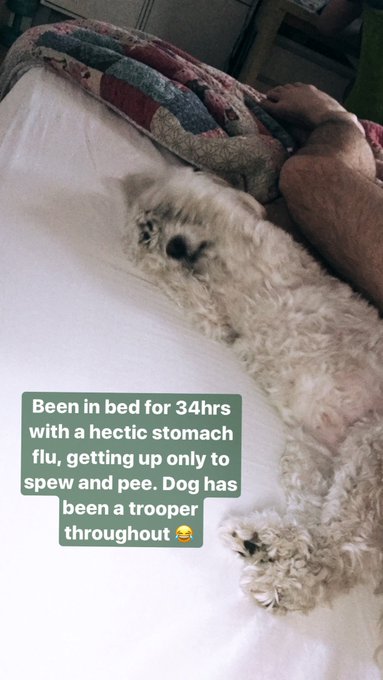 I know some people have real problems but GIVE ME YOUR SYMPATHY. https://t.co/UkVXeglMOS<a href="/tag/lgbt"class="tags"><span>#lgbt</span></a><a href="/tag/birthday"class="tags"><span>#birthday</span></a><a href="/tag/gay"class="tags"><span>#gay</span></a><a href="/tag/homo"class="tags"><span>#homo</span></a><a href="/tag/mardigras"class="tags"><span>#mardigras</span></a><a href="/tag/lgbti"class="tags"><span>#lgbti</span></a>