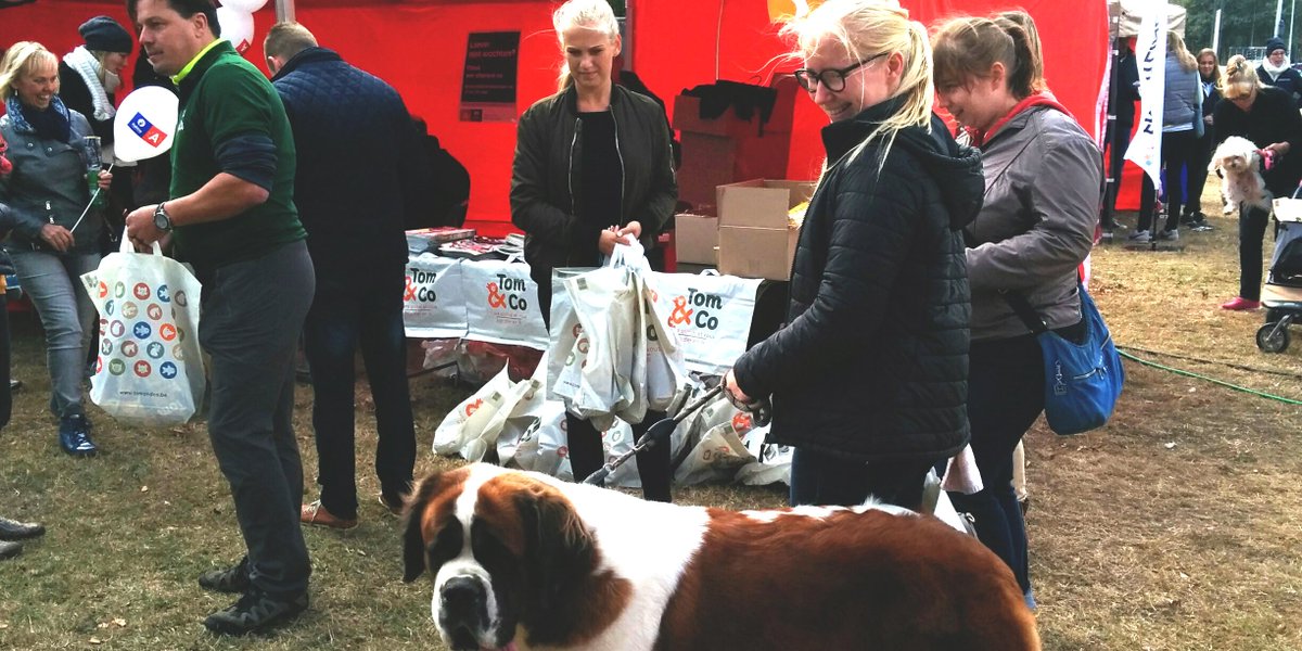 Stad_Antwerpen's tweet photo. Dierenfan? Ga vandaag naar #Beestig: een #gratis festival voor dierenliefhebbers! Volledig programma vind je hier: https://t.co/PsUBb5I4a3 🐾 https://t.co/bkAWzIFVY0