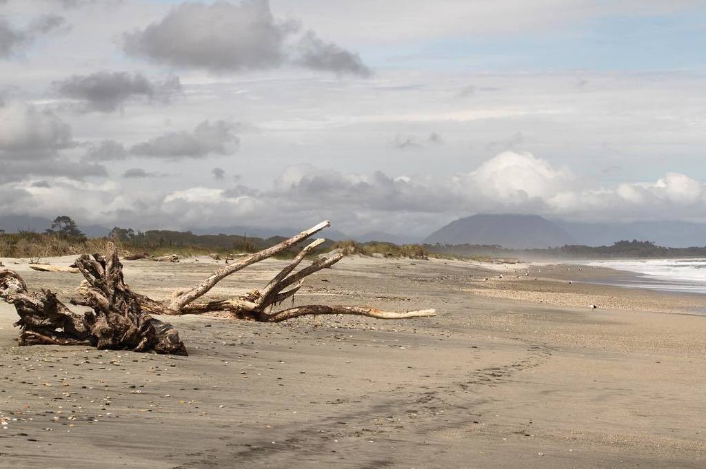 TuPawlicki's tweet photo. #newzealand #aotearoa #tasmansea #travel #beachpics #world #worldtravel #travelphotography #worldcaptures #worldpi… https://t.co/PvwllXlawl https://t.co/DkhwkLBdVY
