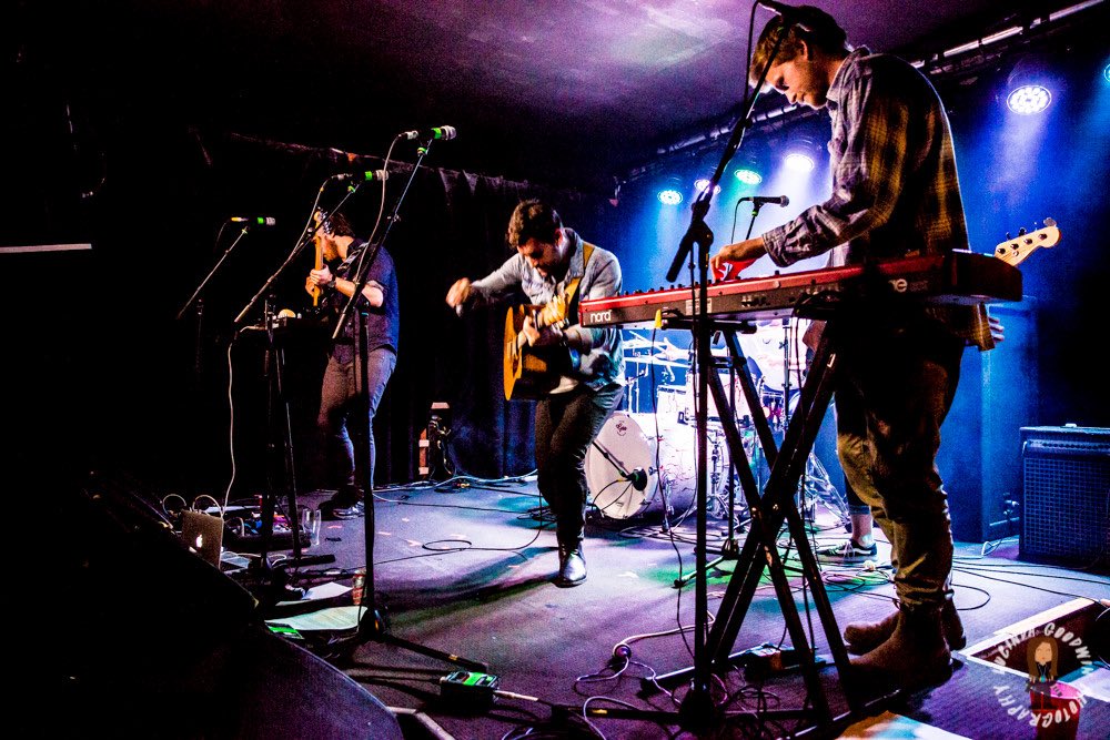 WillowArtists's tweet photo. Thanks to everyone who came down to the @JumboMavis single launch Friday. Special mention to @feeldsmusic &amp; @mountdefiance for their sets. https://t.co/LeFIDNtYp6