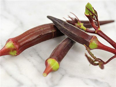 JavaFresh_Fruit's tweet image. Want to know more about a specific fruit or veggie 🥥🍍🥑? Check out @SpecialtyProd and their awesome website, full of great information specialtyproduce.com  👍🤩 #exoticfruit