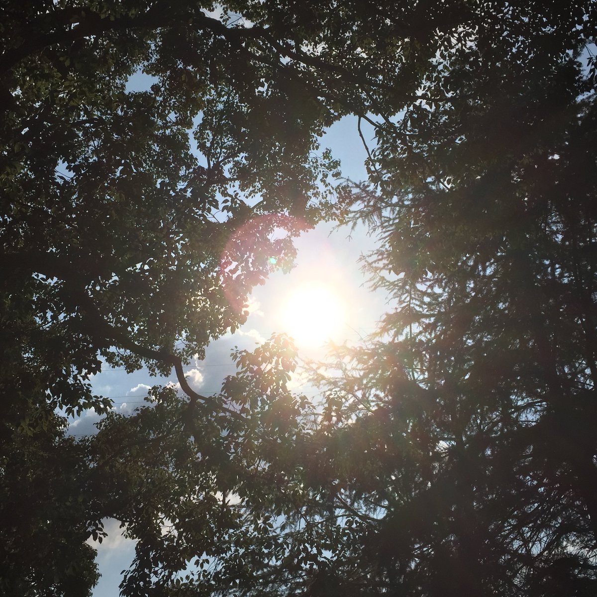 気ままに歩いてて気の向くまま撮影