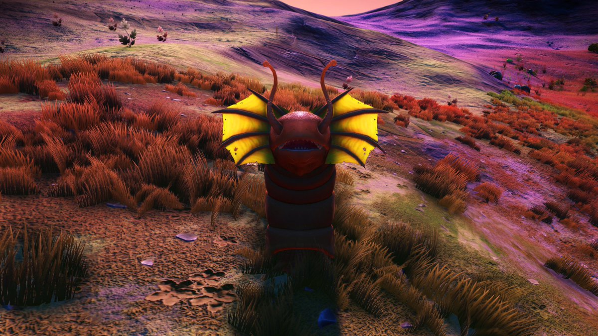 Arle1a's tweet photo. And yes horned pigs can fly! 

#NoMansSky #critters 
#NMSCritters #nmssnaps #NMSPix
#game #flyingpig @hellogames https://t.co/JZLpD1TFrg