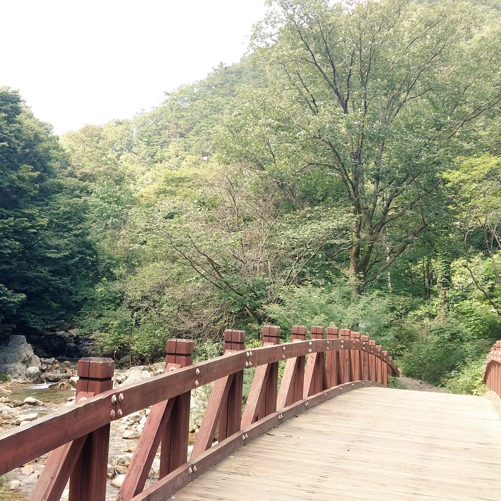 ooooapple's tweet image. #NewProfilePic