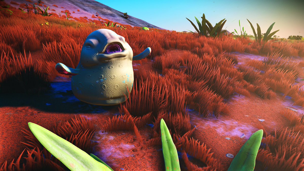 Arle1a's tweet photo. Happiest critter encountered today! Jumping and bouncing

#NoMansSky #critters #happy
#NMSPix #nmssnaps #NMSCritters #AtlasRises https://t.co/t398207CRp