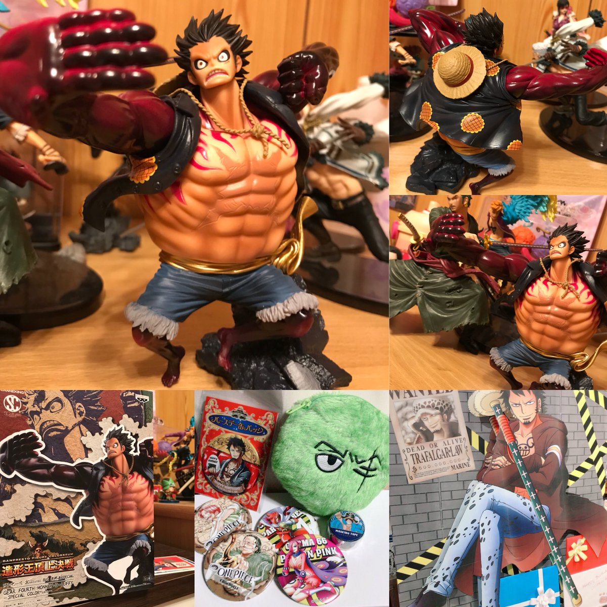 まりもゾロ まりもゾロ