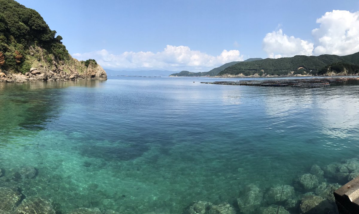 Minoru69117390's tweet photo. https://t.co/YdZz0Ark91