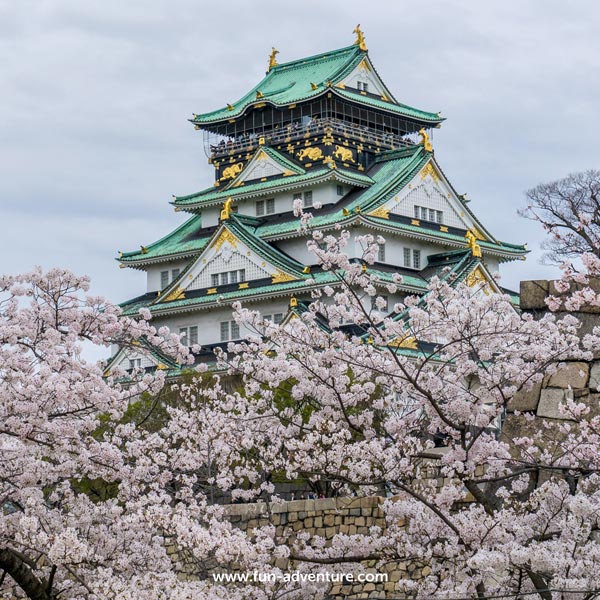 FunAdventure_'s tweet image. SISA 2 SEAT! Open Trip Jepang Sakura, 28 Maret -
 4 April 2018. Only RP 7.900K/pax.. Info &amp;amp; booking: is.gd/TW9nyv