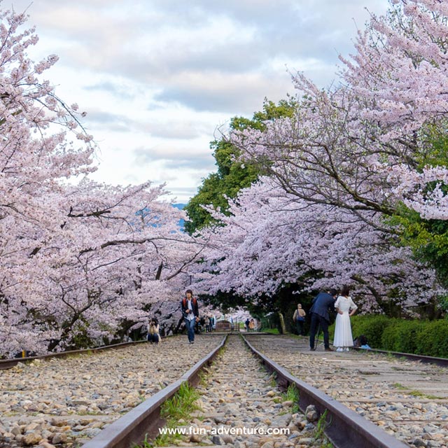 FunAdventure_'s tweet image. SISA 2 SEAT! Open Trip Jepang Sakura, 28 Maret -
 4 April 2018. Only RP 7.900K/pax.. Info &amp;amp; booking: is.gd/TW9nyv