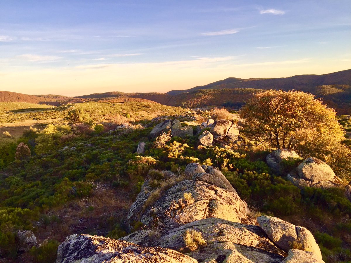 CevennesMontLo's tweet photo. 😍 Destination Cévennes Mont Lozère ! #cevennesmontlo #MagnifiqueFrance #lozere #cevennes #lozeretourisme #montlozere #TourismeOccitanie https://t.co/i9Szlfej5I