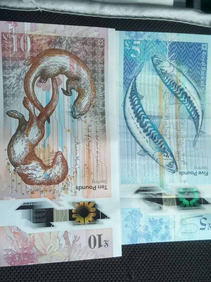 PaulG303's tweet image. Say what you like about RBS, their new fivers &amp;amp; tenners are things of beauty  #scottishbanknotes
