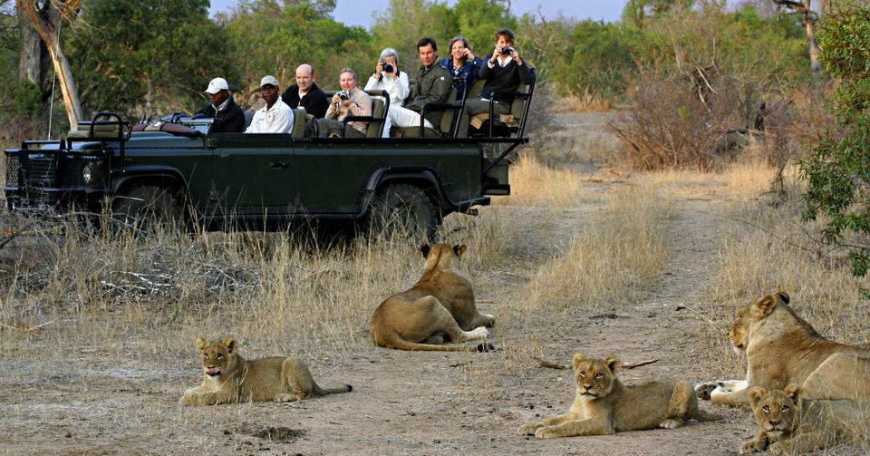 L’ internet des objets sauve les animaux du braconnage objetconnecte.net/internet-objet…