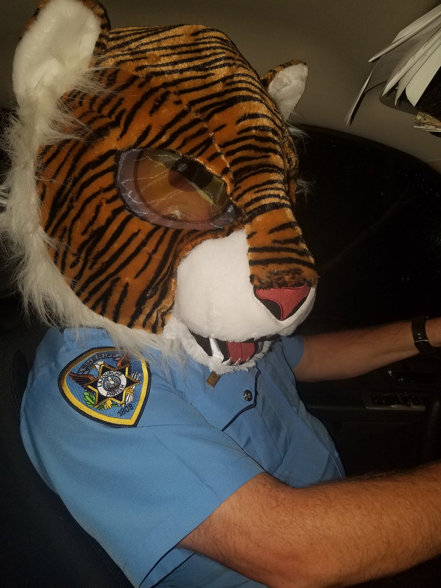 MCSPANKY2016's tweet photo. @Mike__McKenna @DougDeVore @mariorobledo97 Now this is a Tiger !!  Geaux Tigers. https://t.co/zkFDzDq9jP