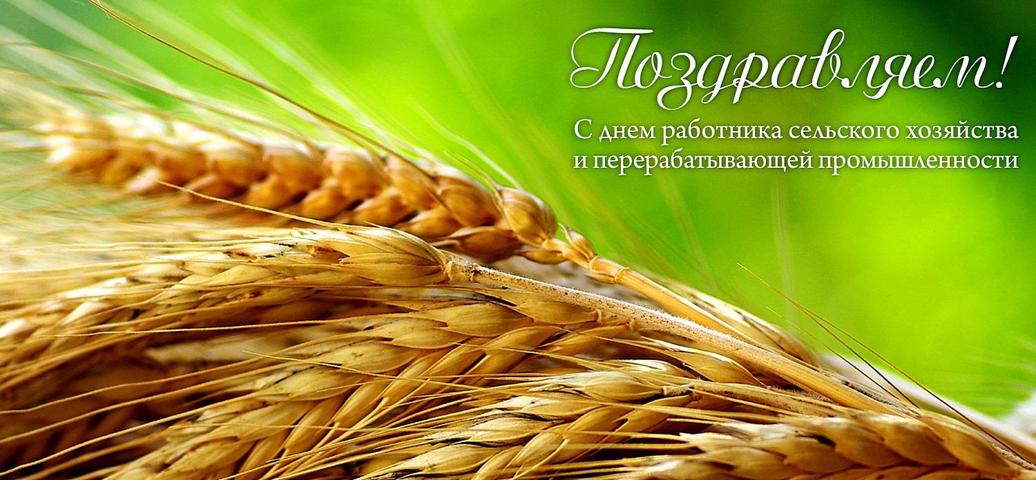 Открытки с поздравлением сельского хозяйства, поцелуи для