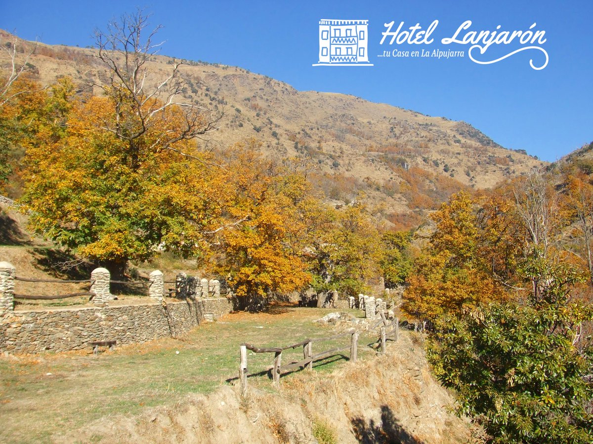 HotelLanjaron's tweet photo. Disfruta de las mejores ofertas, desde 14'49€, este otoño. https://t.co/9vwHu0ODTO…/ha-llegado-otono-casa-la-al…/ https://t.co/C2XMuAyqsN
