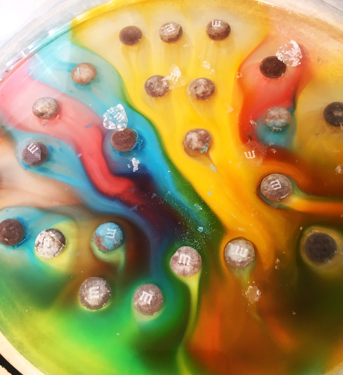 liyahs_world's tweet photo. We do an #experiment w/ M&amp;Ms! Watch it here
https://t.co/Mw0fAJboeU
#science #scienceexperiment #youtube #sciencekids #mandm #candy #rainbow https://t.co/EIM3pklDuE