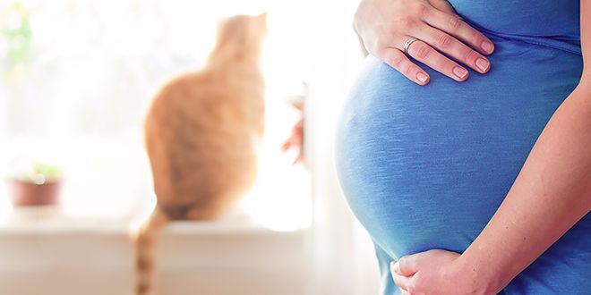 Mito #2 del embarazo: deja el café ¿realidad o ficción? 
Averígualo en el #BlogDeIntimina
buff.ly/2xRMZkB