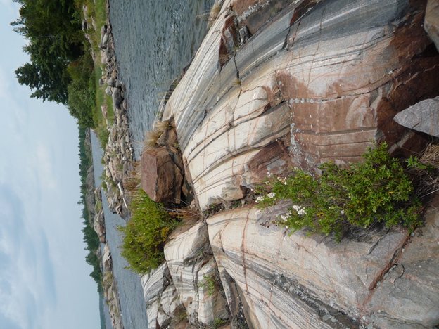 MicroEarthSci's tweet photo. Mylonitized (and one boudinaged) #TeamGneiss Georgian Bay, Ontario, Canada #rockcup https://t.co/WzSZauRQsJ