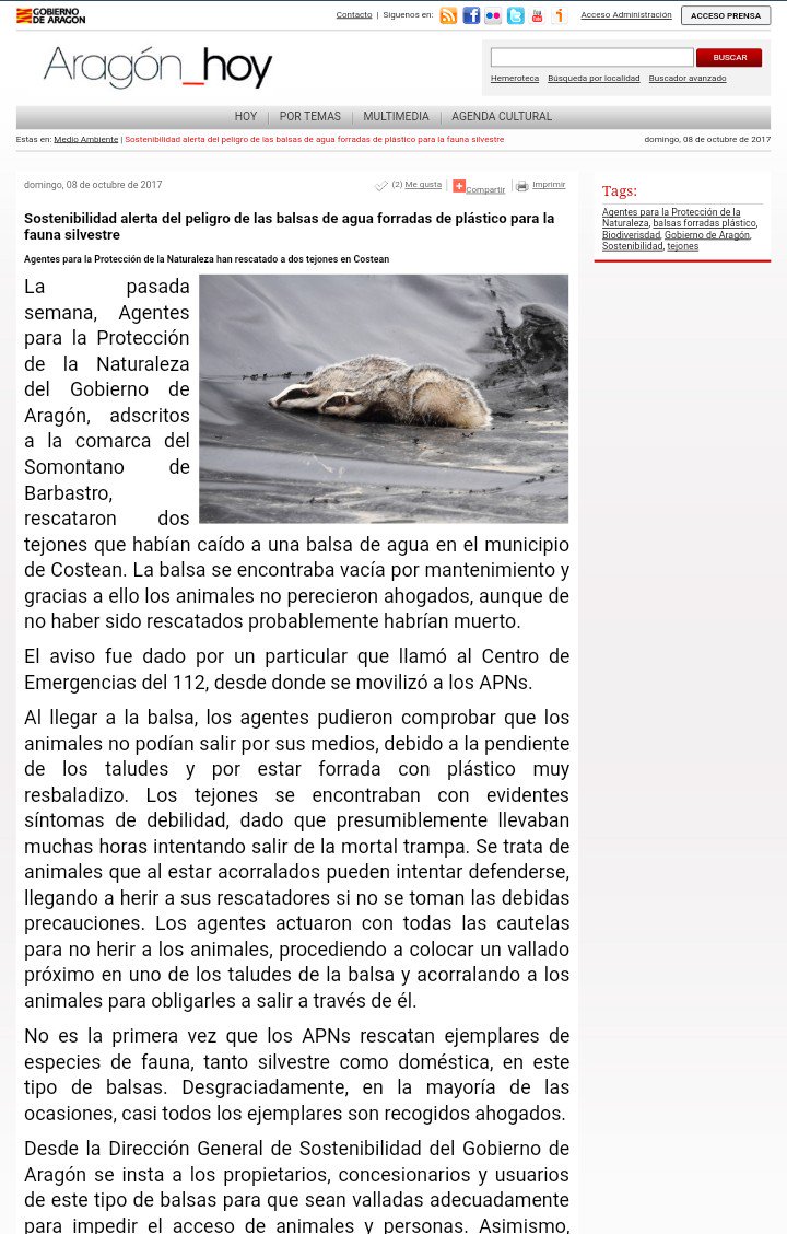 aaffaragon's tweet photo. @Dario_Fernndez @GobAragon @112Aragon @AEAFMA @altoaragon @periodicoaragon @SECEM_ @Forestales_CCOO @CSIF_forestales @joaquinolona @UGTforestalesAr @hitfm #AgentesProtecciónNaturaleza rescatan 2 tejones que habían caído en una balsa en #Costean (Hu)
https://t.co/7w4rP6Uw6t vía @GobAragon https://t.co/5TX9tB2aY3