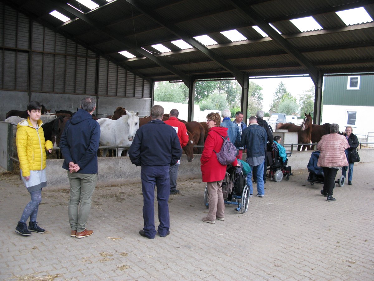 Cellozorg's tweet photo. Natuurclub 2 heeft een bezoek gebracht aan paardenmelkerij de Burghthoeve in Oijen. https://t.co/9LwrXD2XxI