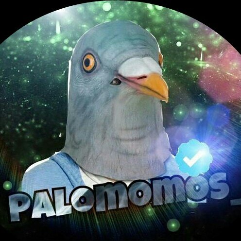 palomomos_'s tweet photo. #NuevaFotoDePerfil https://t.co/SFudlDLB1h