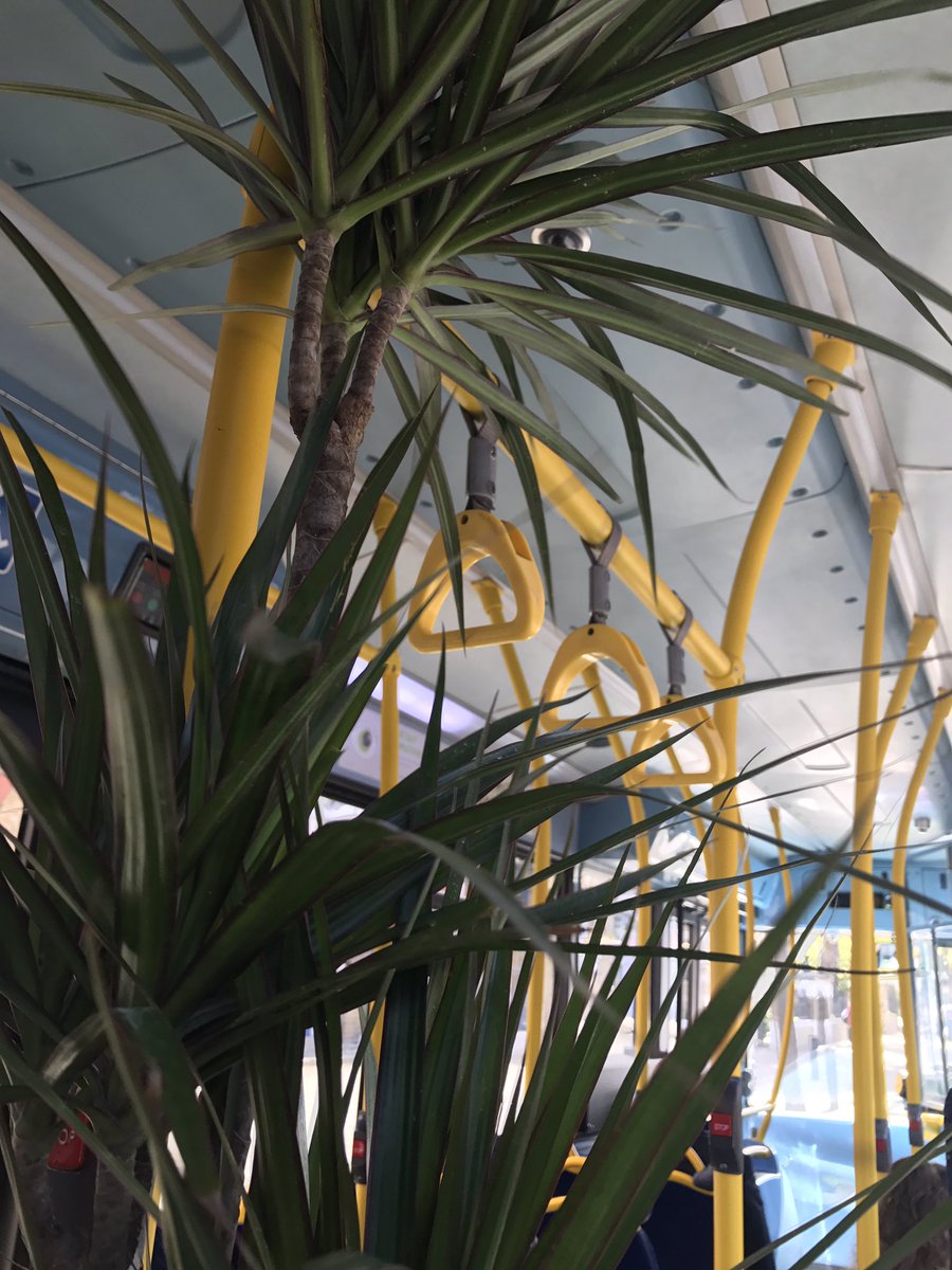 PEACHqmul's tweet photo. all aboard the jungle bus 🌿🚌🌿 #CleanEnergy #WeekendCleanse https://t.co/tDpGsS0oie