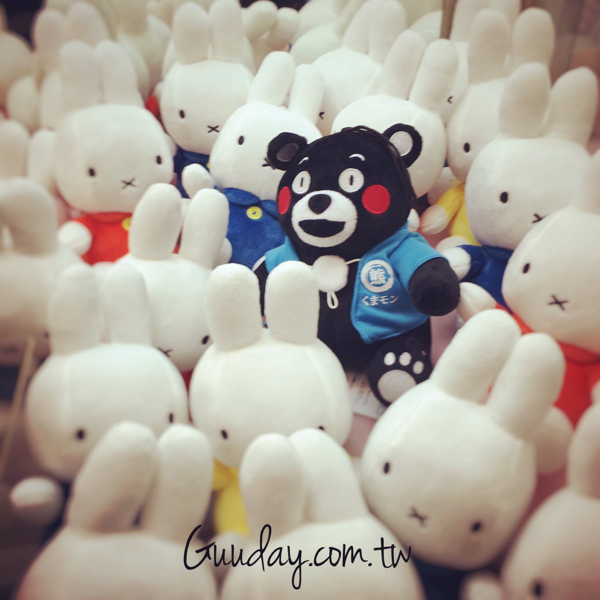 guudaykt's tweet photo. 鶴立雞群 STAND OUT IN THE CROWD
#鶴立雞群 #standout #米飛兔 #miffy #guuday #墾丁貝拉司漫民宿 #berasmaor https://t.co/SWgX4M93Lo