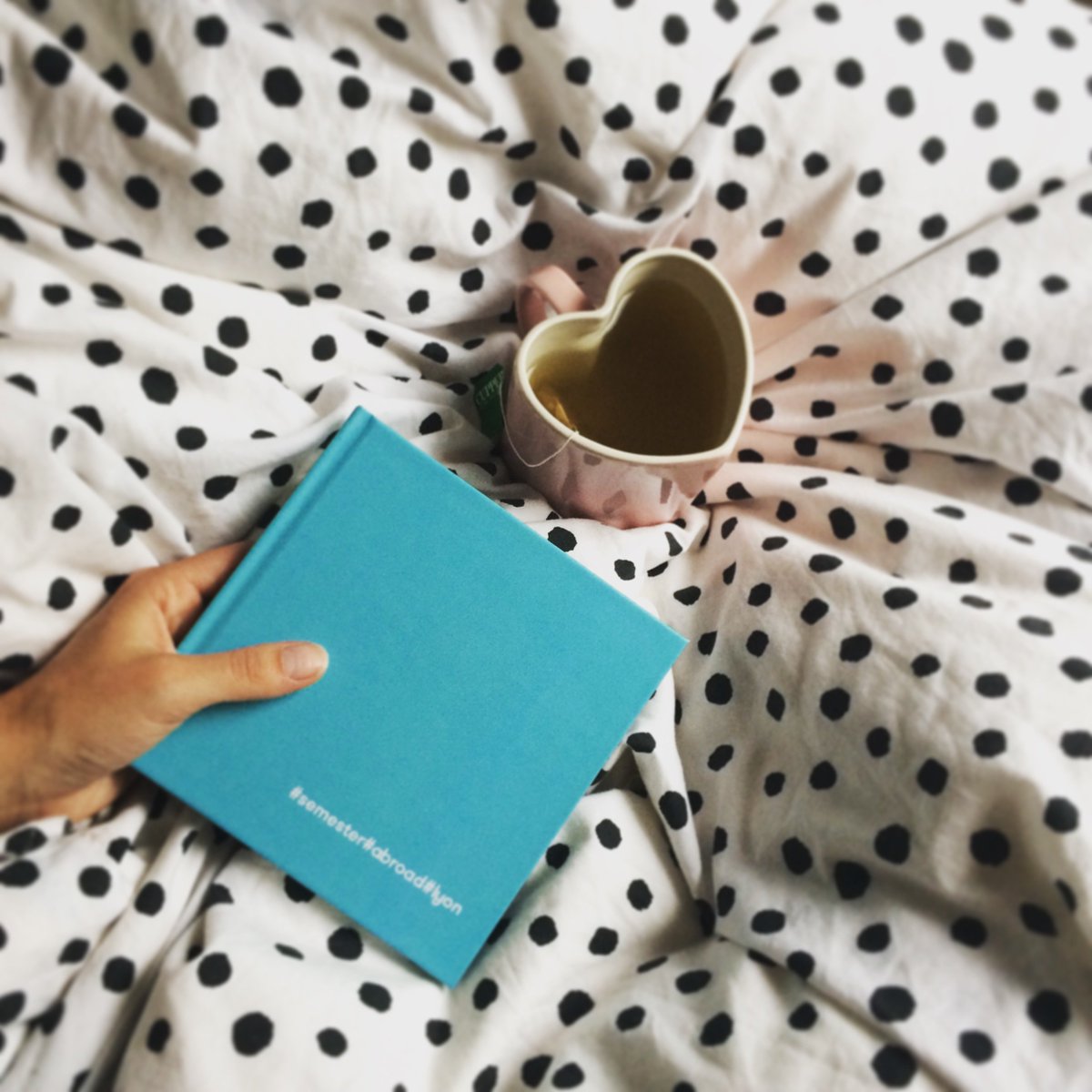 An einem grauen Tag wie heute gibt es nichts Besseres als gemütlich mit einer Tasse Tee in Erinnerungen zu schwelgen.. #20squares #fotobuch