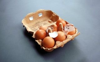 freiwildimpro's tweet image. "Frisch aus dem Ei" Einsteigerkurs, ab 16.10., 8x Mo abends, Kreuzberg, frei-wild-berlin.de/workshops/