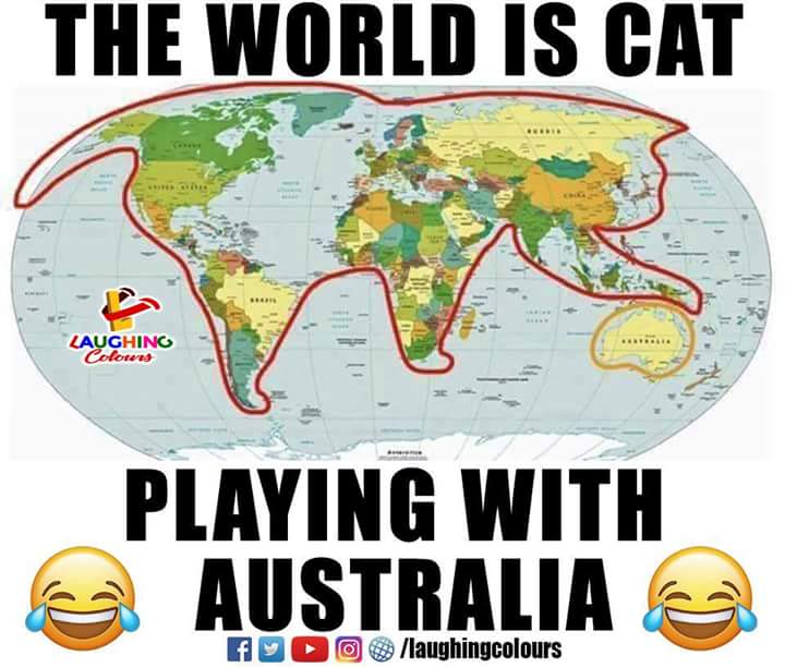 roytheroy6's tweet photo. @DennisCricket_ ..see this &amp; don't troll with #india again..@DennisCricket_ .. #INDvsAUS https://t.co/xUwdhVvJKU