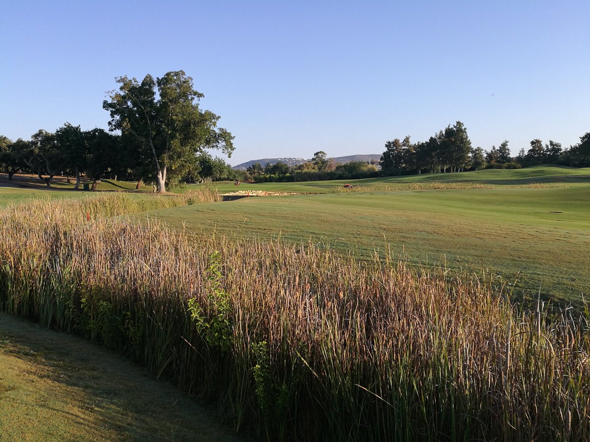 .@Quinta_do_Lago laranjal. 38 points with 22 on front nine puts me in lead for final day