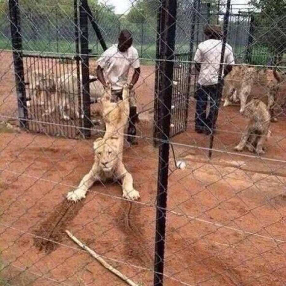 MoFadlly's tweet photo. تعالي سلمي عماتج قاعدين بره : 🤣💔 https://t.co/8EeYzPevxH