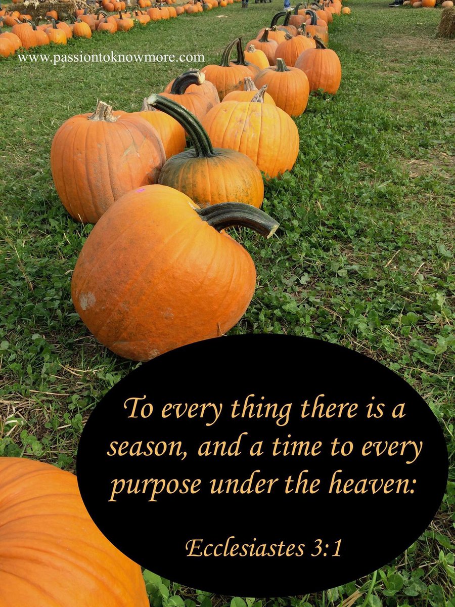 PassiontoKnow's tweet photo. Pumpkin Patch at Gibson Farm, Hermitage, Pennsylvania

#season #Scripture #Bible #familyfarm #pumpkin #pumpkins #pumpkinpatch #toeverything https://t.co/CCCLjELbUp
