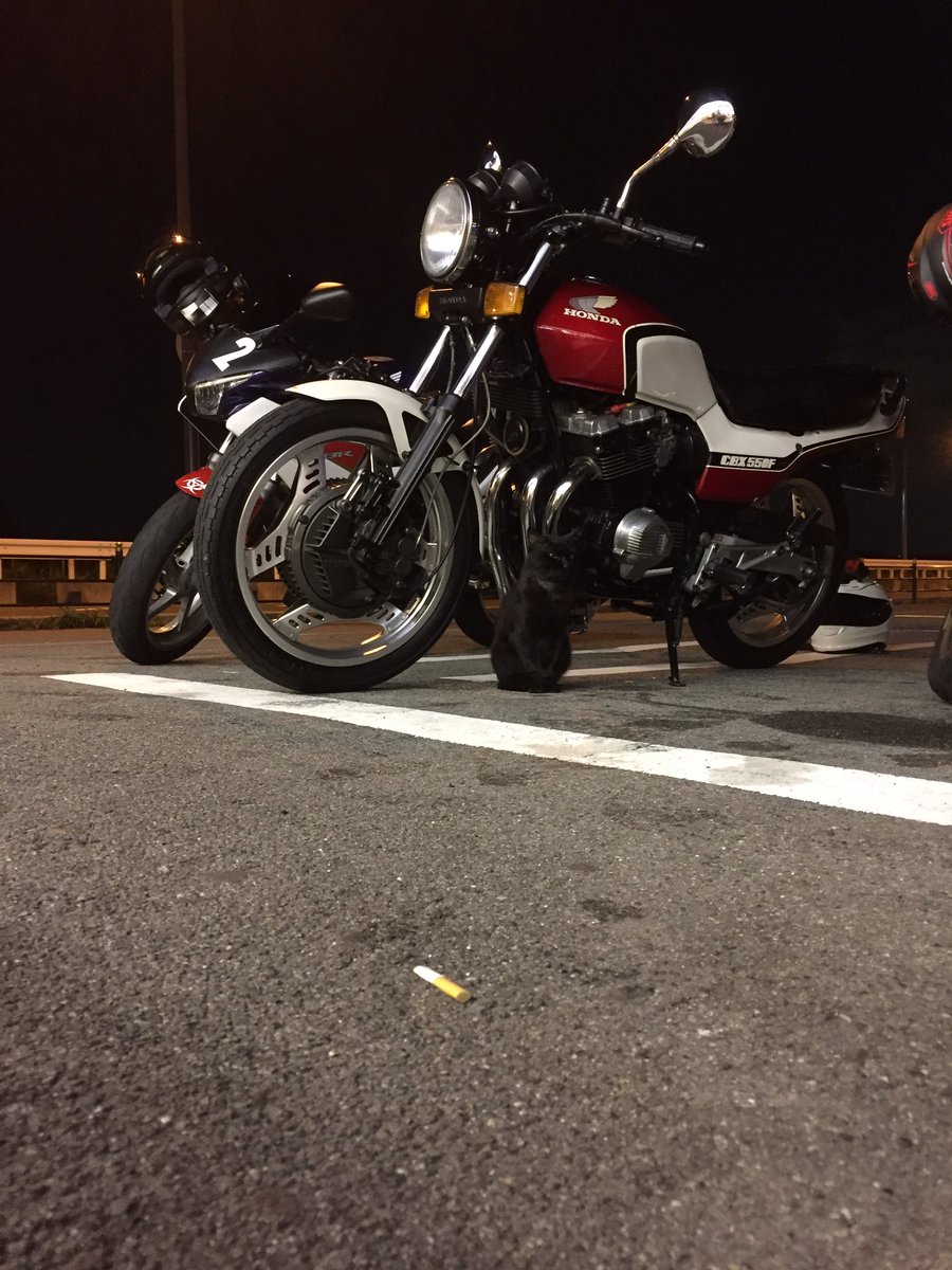 kokiCBX1215's tweet photo. シメに舞洲流しに来た
猫がCBXから離れない…笑 https://t.co/H3IThwRaVx