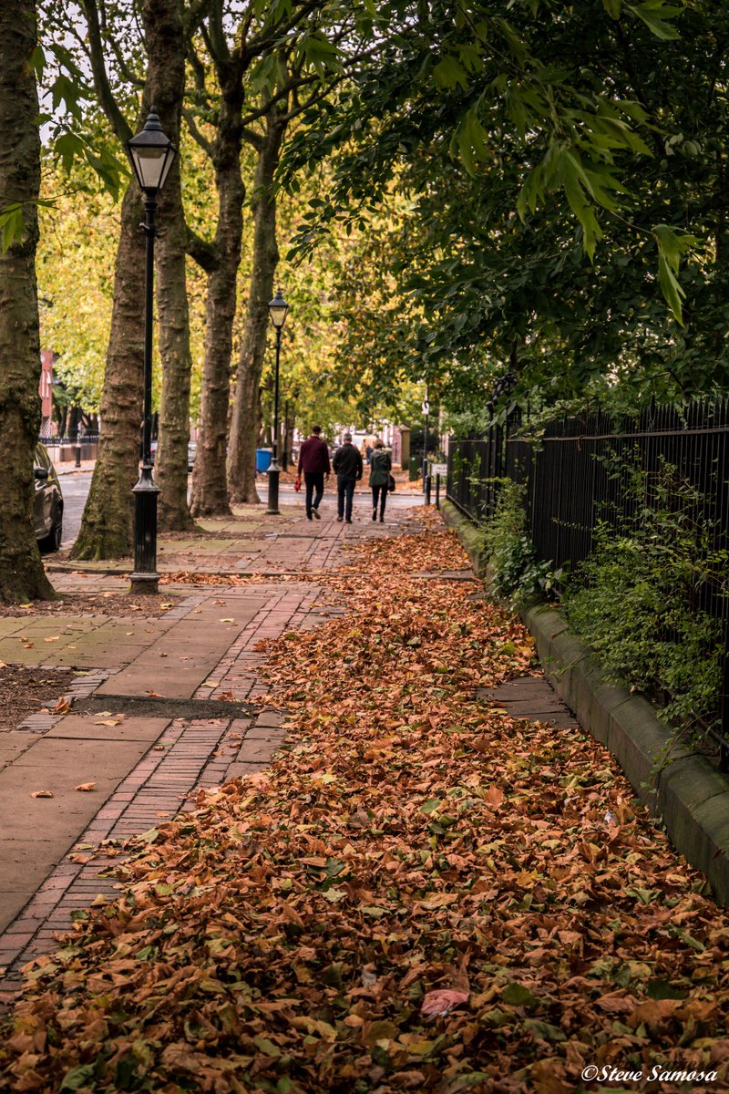 stevesamosa's tweet photo. After visiting #DigitalSplash17, photowalk to capture some #Autumn scenes at Falkner Square. #Liverpool #photography @camerajabber @yourECL https://t.co/eiEWYFVJkQ