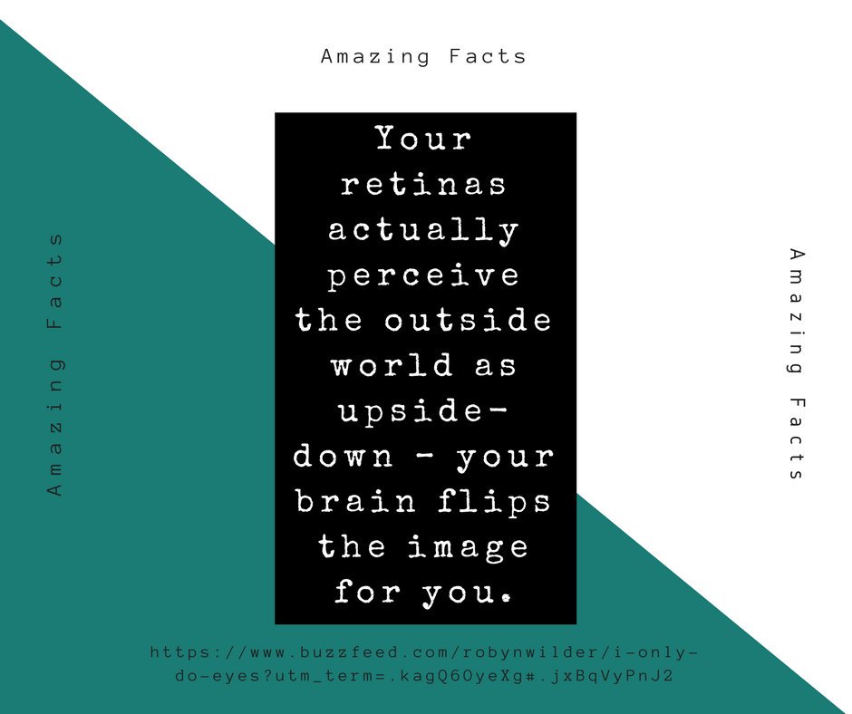 cnslmgn's tweet photo. #EYECONSOLtation brings you '15 Amazing Facts About Our Eyes'

Eleventh Fact: https://t.co/CF5SBiHU1E