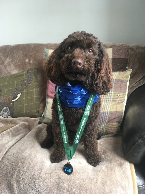ArleneMcNaught's tweet photo. Coco loved being part of @alzheimerssoc #memorywalk2017 in Blackpool today with @TristaMcNaught & @TillyMcNaught πΎ https://t.co/OdxYWAXxKd