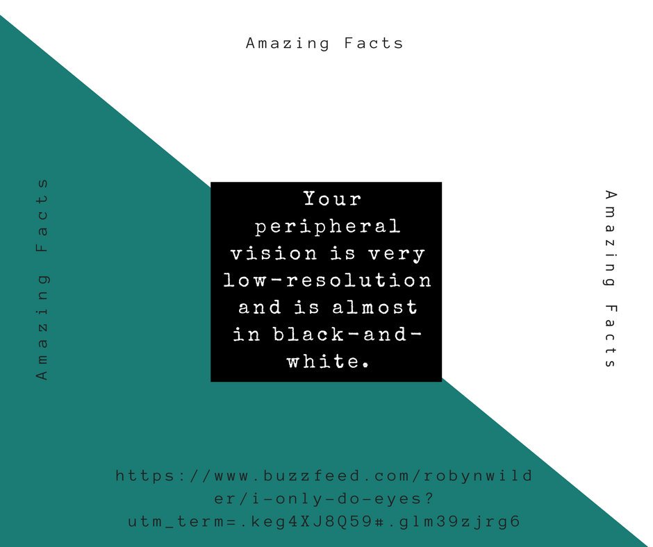 cnslmgn's tweet photo. #EYECONSOLtation brings you '15 Amazing Facts About Our Eyes'

Thirteenth Fact: https://t.co/4RNpbISU2E